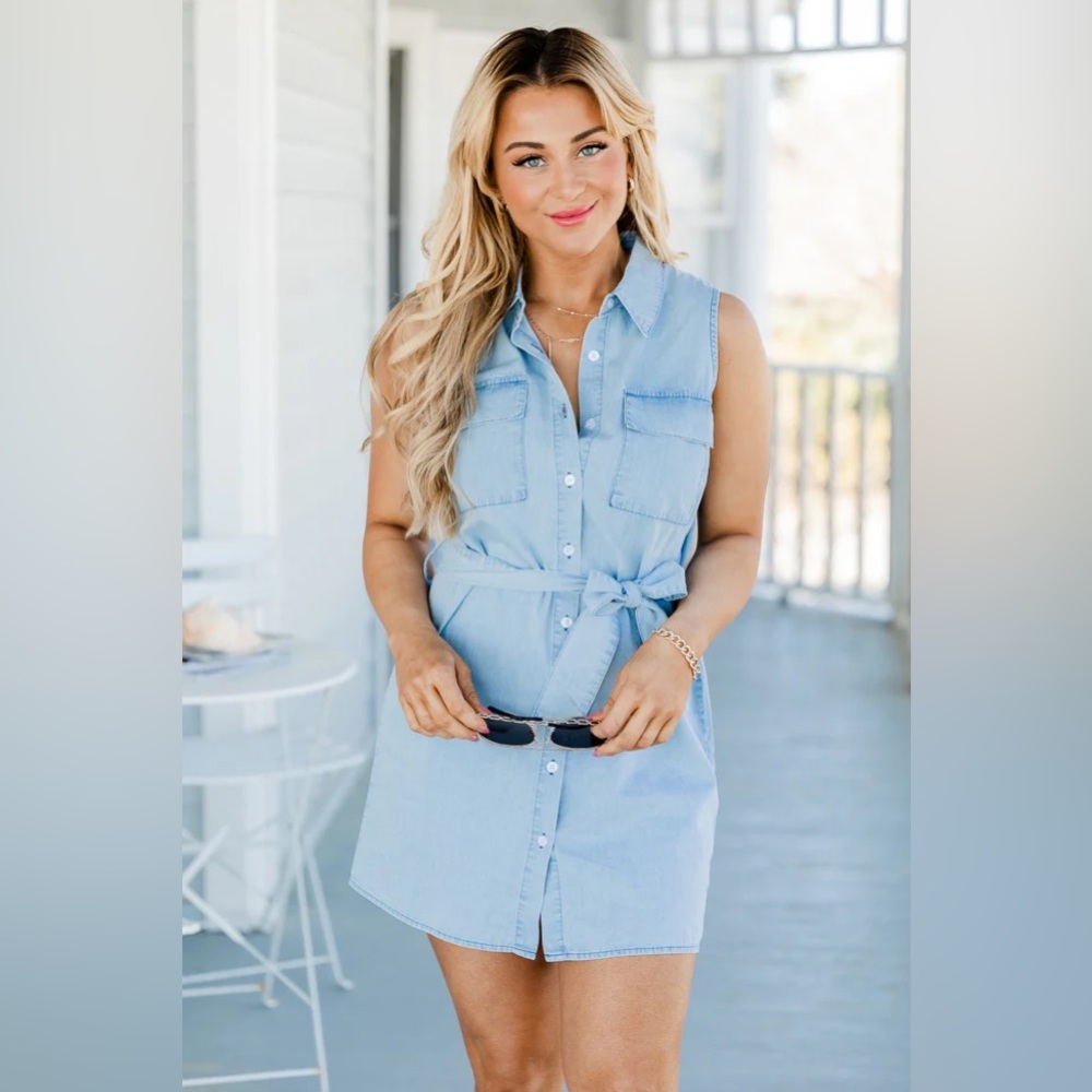 New Pink Lily Denim Dress